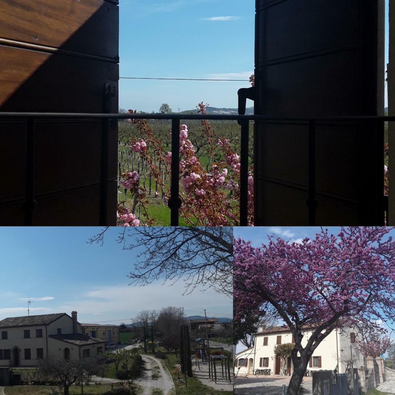 Fattoria Della Bilancia Villa San Giovanni In Marignano Buitenkant foto